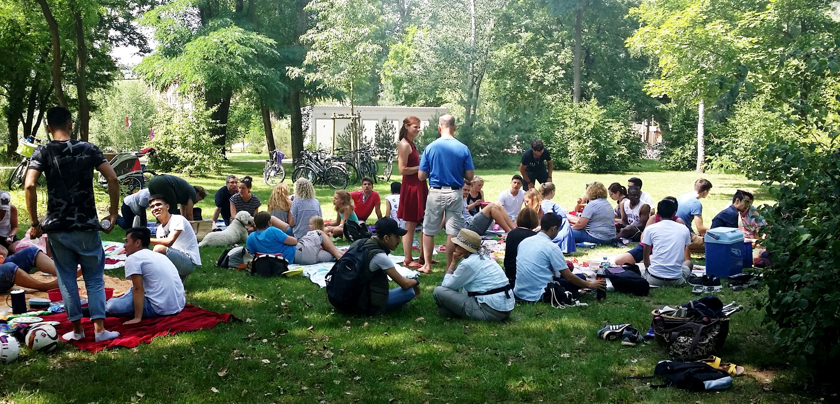 Picknick-SP-IP